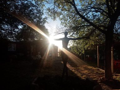 Silueta de una figura humana junto a árboles, con luz del sol de fondo.